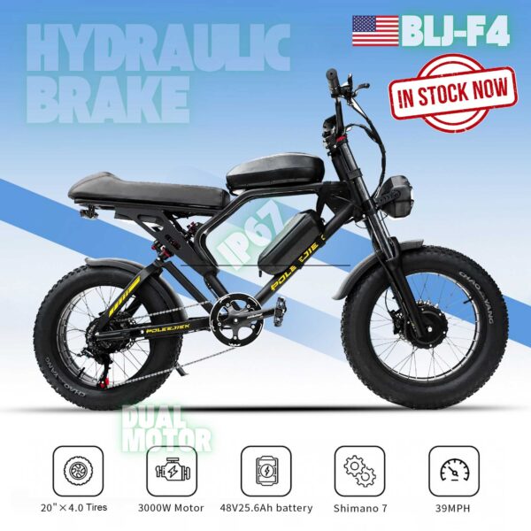 BLJ-F4 High-Performance Electric Bike | Fat Tire, 60KM/h, Dual Suspension, Remote control lock and burglar alarm for added security
